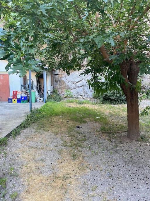 Appt 4 Pers Avec Jardin Ombrage En Centre Ville De Sète Zewnętrze zdjęcie
