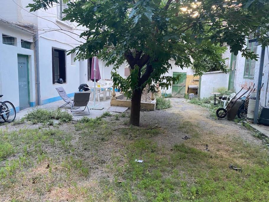 Appt 4 Pers Avec Jardin Ombrage En Centre Ville De Sète Zewnętrze zdjęcie