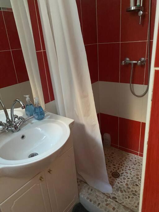 Appt 4 Pers Avec Jardin Ombrage En Centre Ville De Sète Zewnętrze zdjęcie